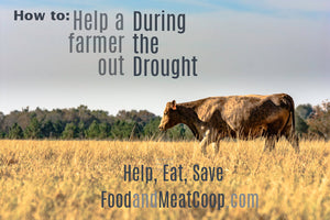 How to Help A Farmer Out During This Drought