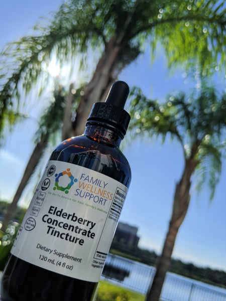 480 Servings of Elderberry Tincture Concentrate (10 times concentrate when compared to syrup) in Glass 4oz Bottle