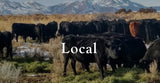 1/8th or 1/16th Local America Wagyu Beef Shares, Bennion Beef, Vernon, UT