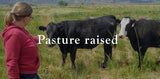 20 lbs. American-Wagyu Pasture Raised Ground Beef, Bennion Beef, Vernon, UT