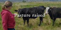 Local Angus Grassfed/Grain Finished Beef Shares